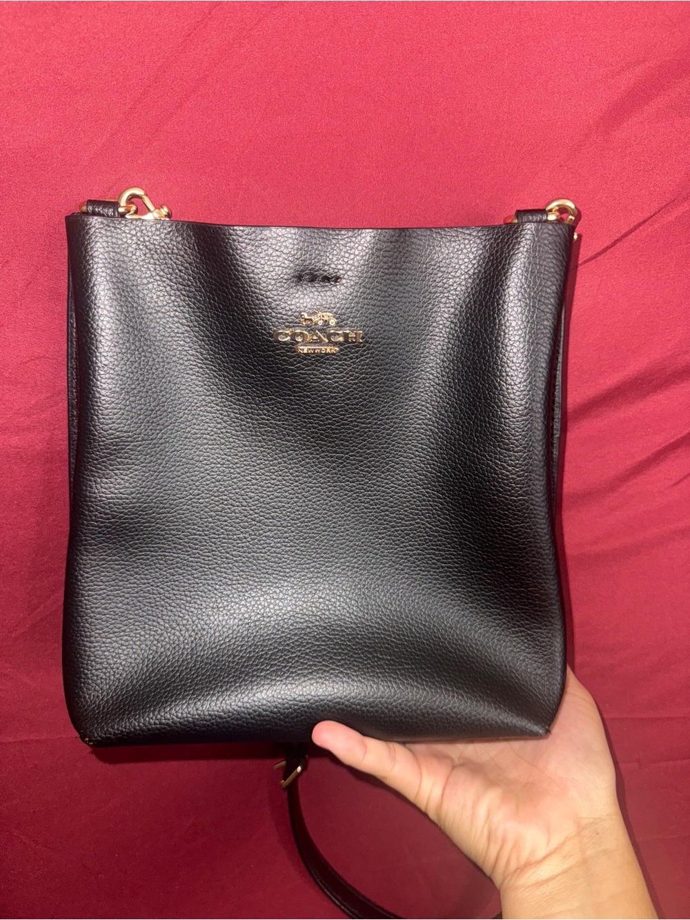 Coach Mollie Bucket Bag 22